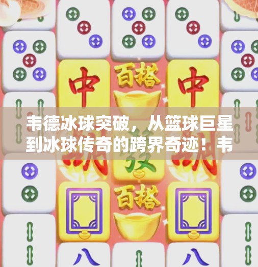 韦德冰球突破，从篮球巨星到冰球传奇的跨界奇迹！韦德冰球突破