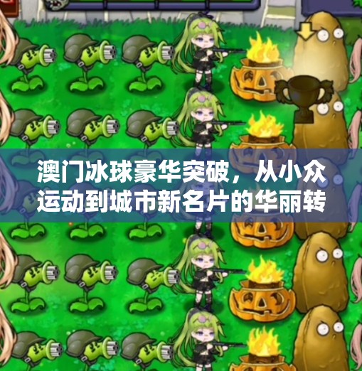 澳门冰球豪华突破，从小众运动到城市新名片的华丽转身,澳门冰球豪华突破